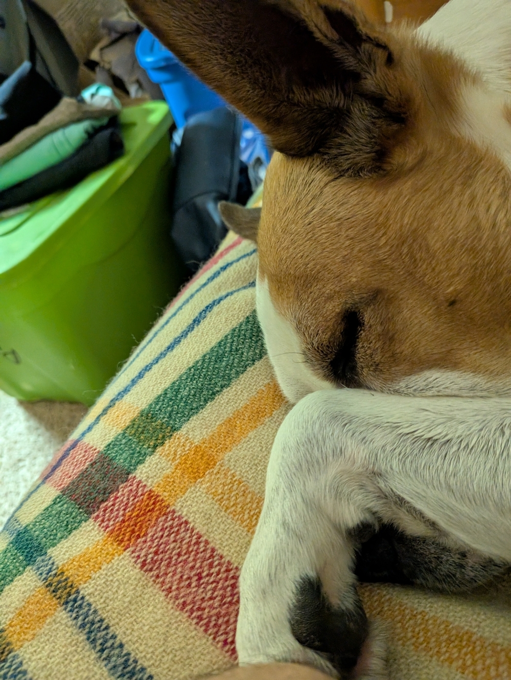 KG4DEALS going Live! - Picture 5 of 11